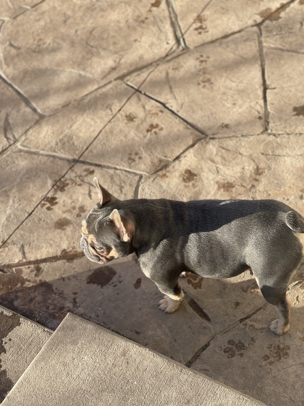 Remembering Stella — photo 1 of 10
