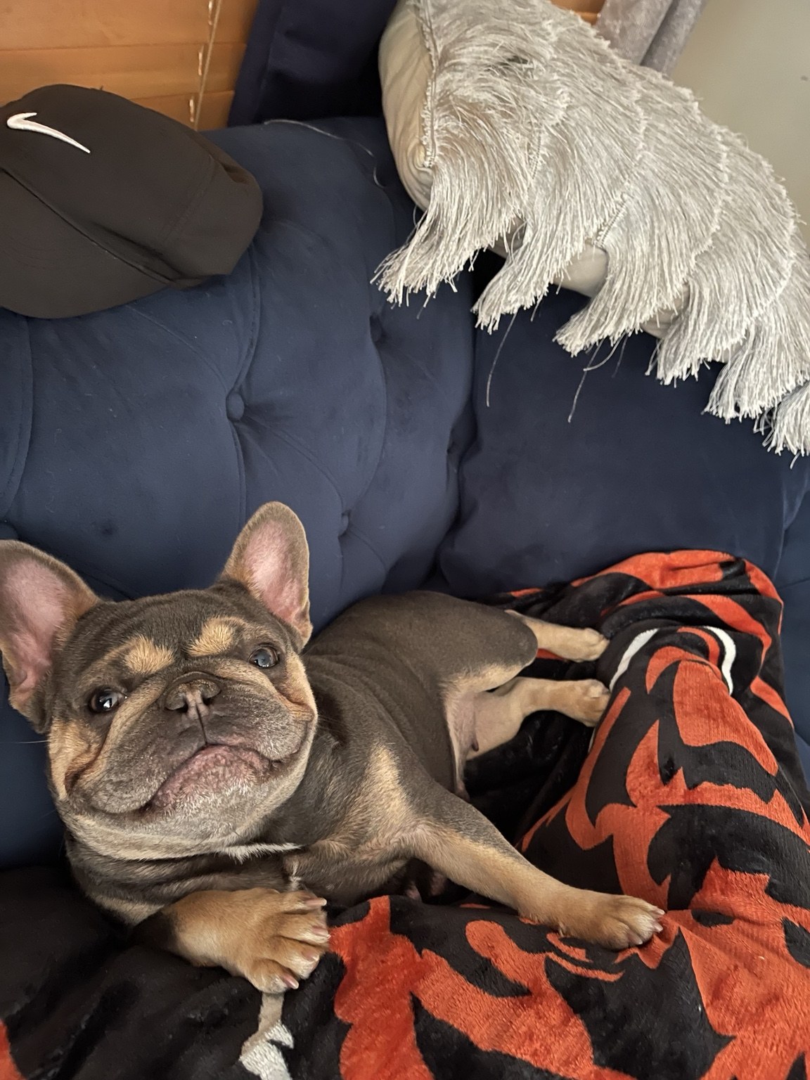 Remembering Stella — photo 4 of 10