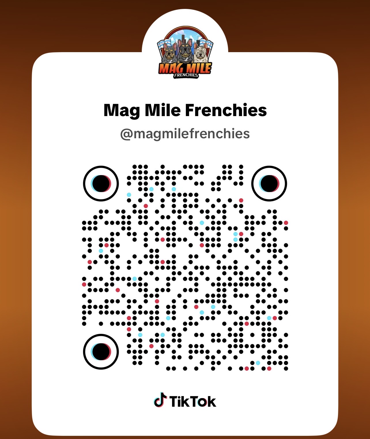 TikTok QR code